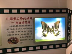 -上海昆虫博物馆