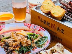 -福苗小骆驼烧烤(莲湖路店)