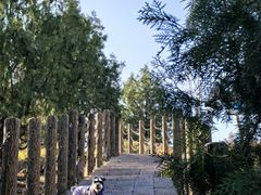 -白水寺森林公园