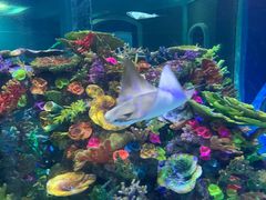 -成都浩海立方海洋公园