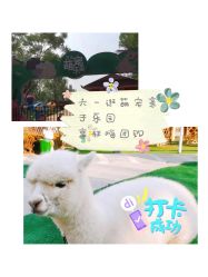 -萌宠亲子动物乐园(槐房万达店)