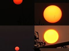 -八珍·广式煎饺·广州老字号(北京路总店)