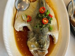 -湛江菜.江南首席(昆山店)