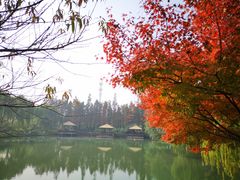 -圩墩遗址公园