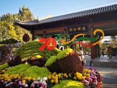 -莲湖公园