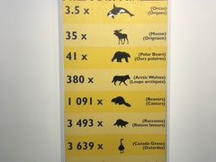 -加拿大国家电视塔