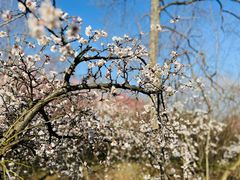 -南京市江宁方山