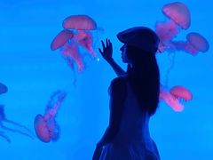 -合肥海洋世界