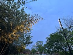 -佛手湖郊野公园