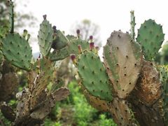 -Club Med地中海俱乐部·桂林度假村