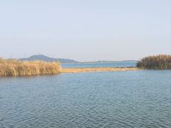 -苏州太湖湖滨国家湿地公园