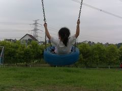 -紫颐香薰山谷景区