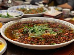 杨记招牌鱼-杨记隆府(白象街店)