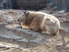 -大连森林动物园