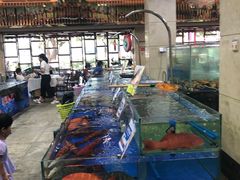 -东江海鲜酒家(艺都分店)