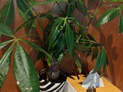 -船说蒸汽海鲜·渔民捕捞直供(凤凰路店)