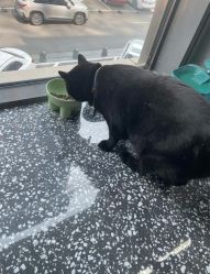 -飞梵造型