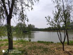 -东郊湿地公园