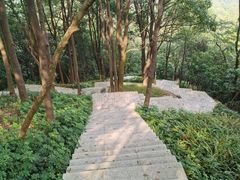 -火炉山森林公园