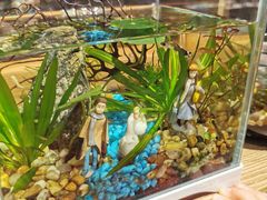 -酷乐潮玩(颛桥万达店)