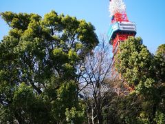 -东京塔海贼王主题公园