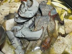 -草墩罗非鱼庄•野生菌•腊排骨(七星街上段店)