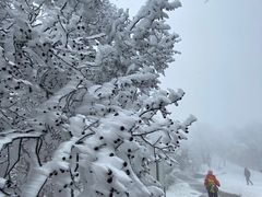 -紫金山山顶公园