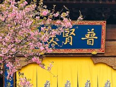-西安大兴善寺