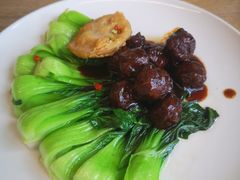 -枣子树·素食餐厅(朱家尖店)