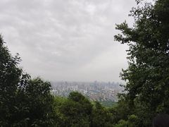 -大蜀山国家森林公园