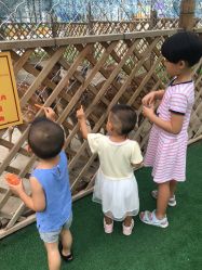 点击看大图 -萌宠亲子动物乐园(槐房万达店)