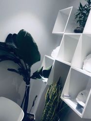 -紫御国际抗衰ZOE ANTI AGING