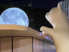 -深圳湾万象城(南山店)