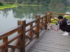 -桤木河湿地公园