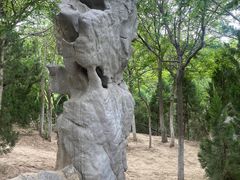 -人民公园(黄骅市)