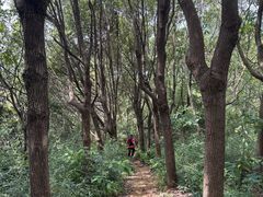-缥缈峰景区