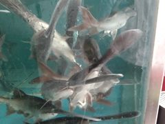 -漓江又一軒·广西菜·桂林米粉(梅林店)