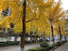 -四川大学(望江校区)