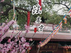 -杭州上天竺法喜讲寺