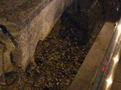 -皇城根遗址公园-东安门遗址