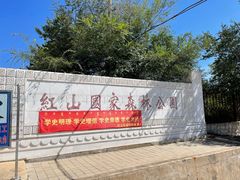 -红山国家森林公园