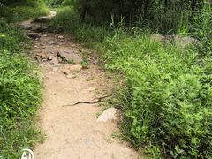 -碓臼峪自然风景区