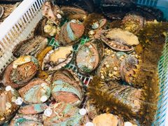 -港畔赶海蒸汽海鲜烧烤自助(仙螺岛店)