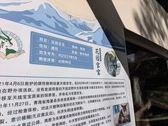 -青藏高原野生动物园