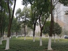 -后襄河公园