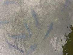 -娄山关景区