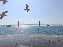 -星海广场