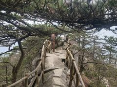 -罗田薄刀峰风景区