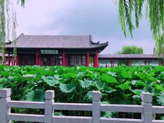 -阿拉木汗餐厅(山大路店)