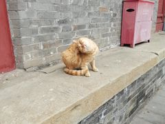 -大钟寺古钟博物馆